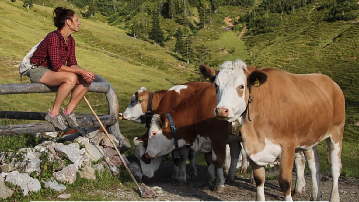 2025-05-12_10-22-53-die-alm
