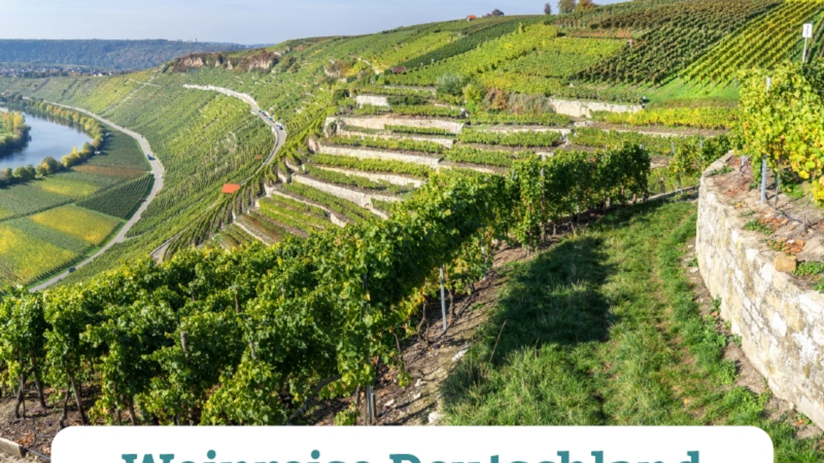 2025-05-12_10-25-43-deutsche-weinreise