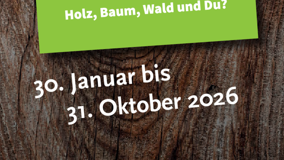 2026-03-05_13-34-18-holzmachtsachen