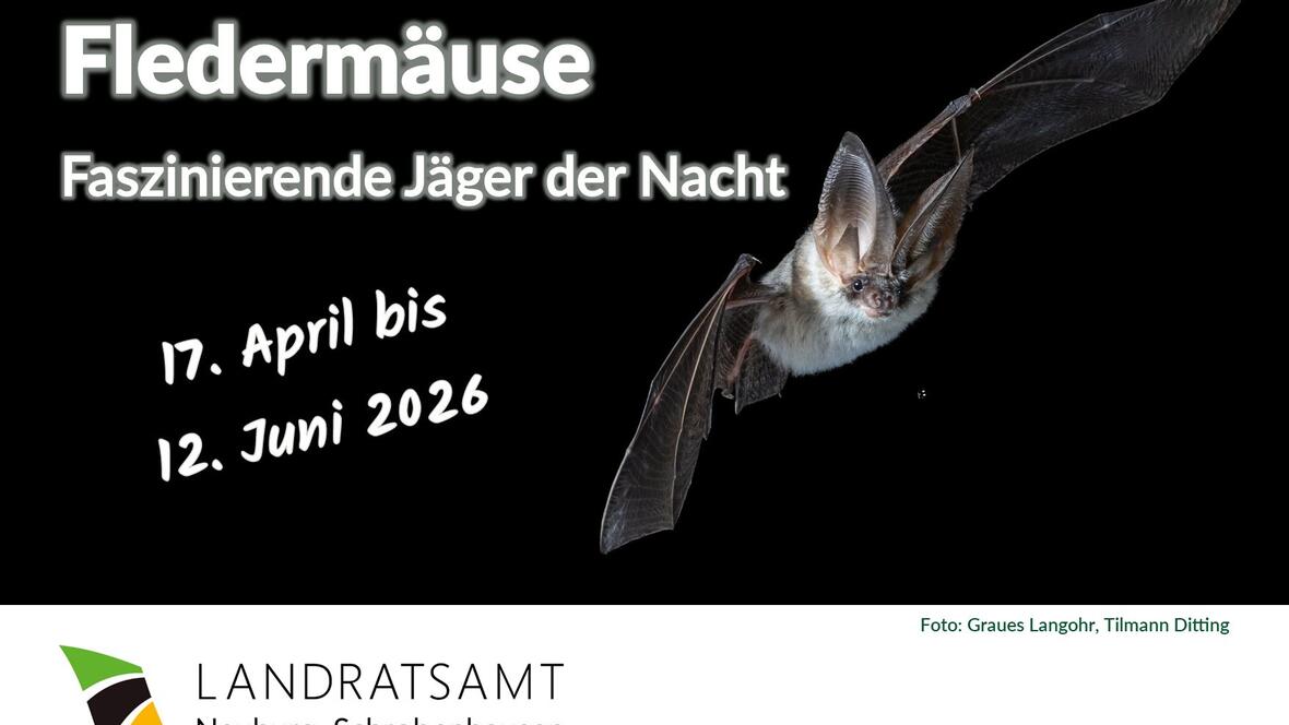 2026-03-17_16-47-57-20260212_plakatadf3