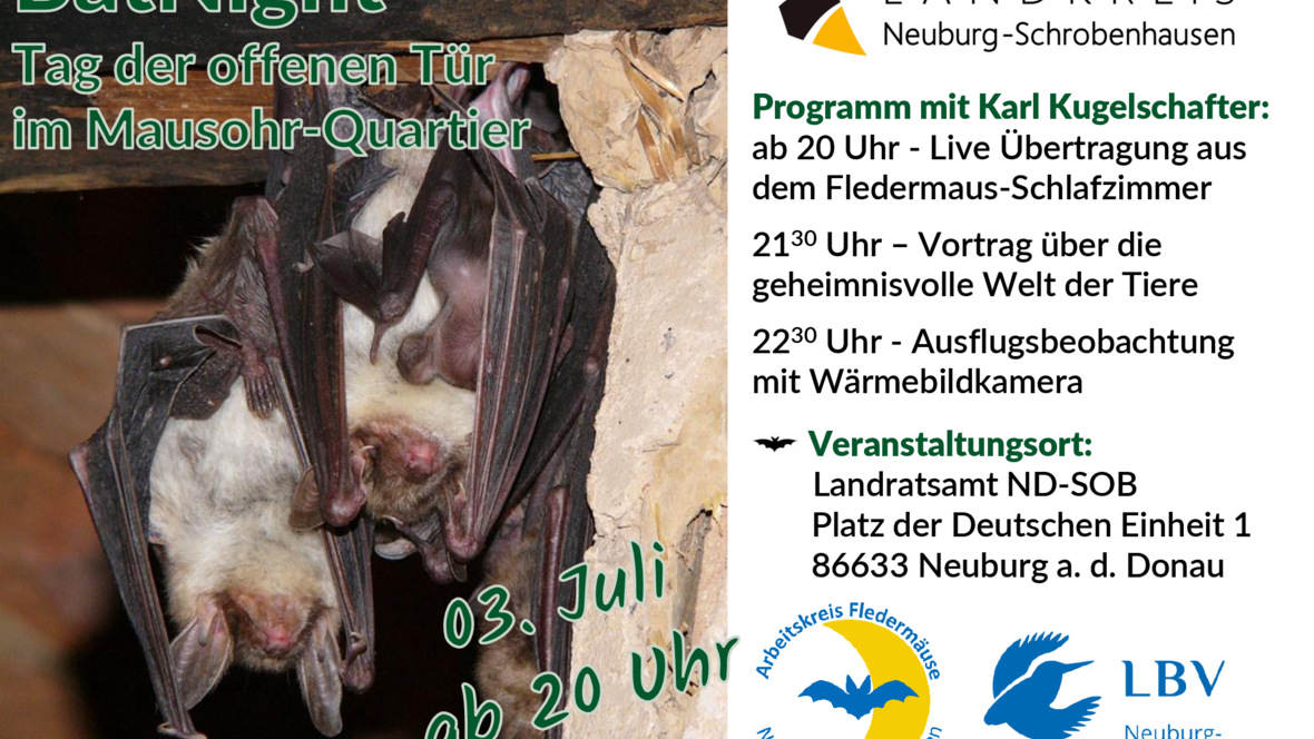 2026-06-22_09-47-57-flyer_batnight