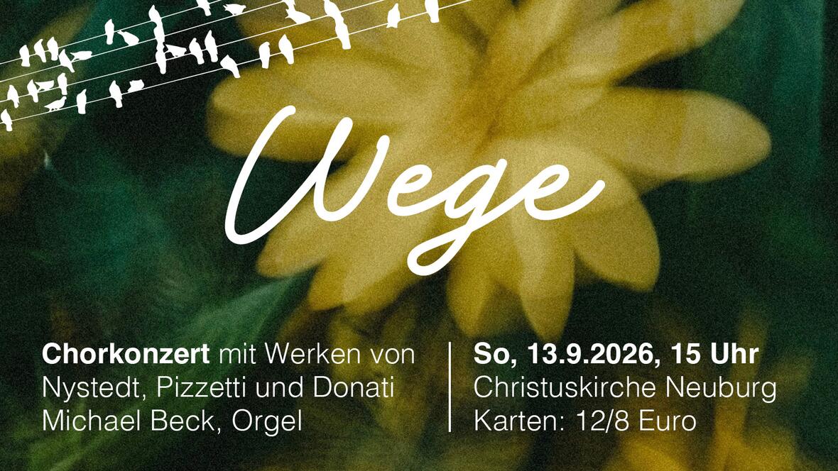 2026-09-08_22-46-46-26-09-13_wege_konzert-in-neuburg_4