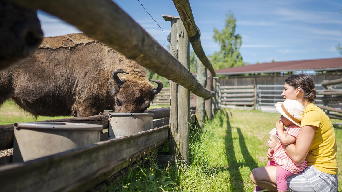 Bild: Dietmar Denger