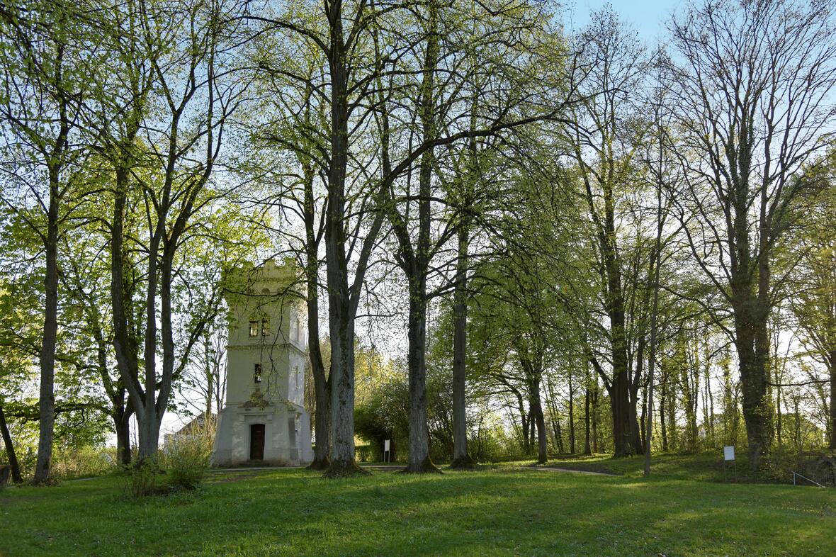 ottheinrichturm_sonnenuntergang_fruehling_bearb_dsc3109