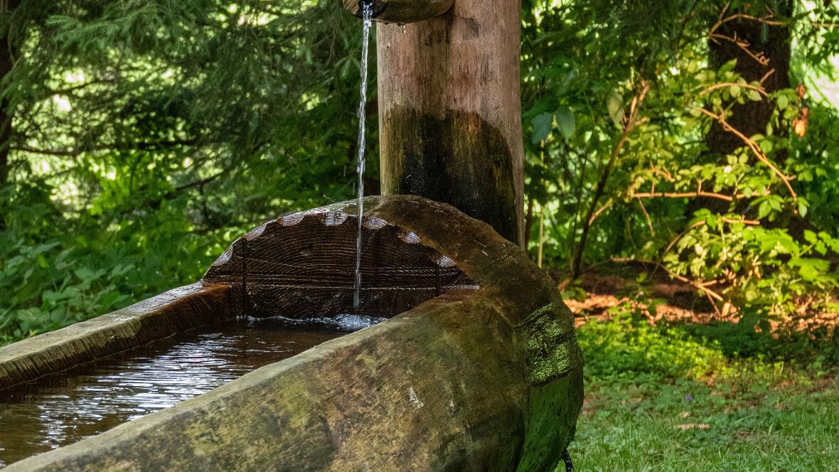 wasser-c-pexels-fer-id