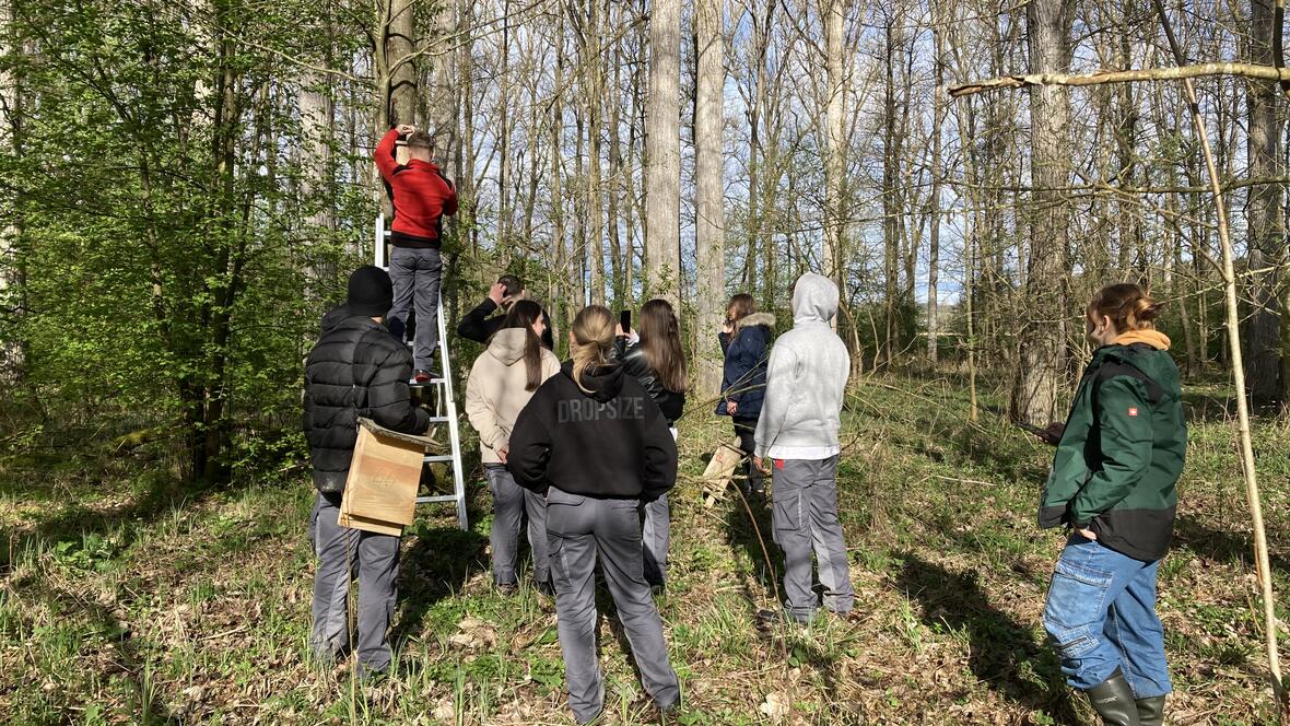 bild-7-fledermauskasten-aktion-bildquelle-anna-pfahler