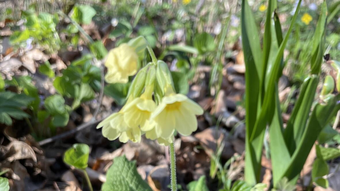 2025-02-14_01-51-34-img_6692